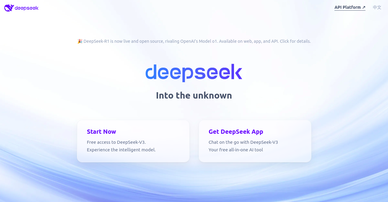 DeepSeek Home Page